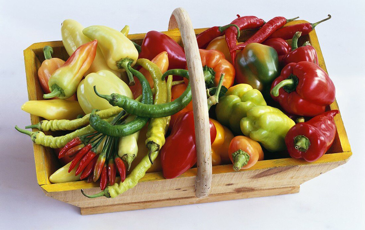 14 Types of Peppers to Know