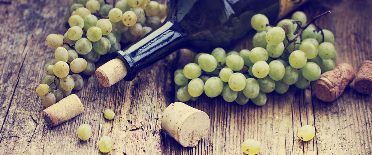 9 Basic Types of Wine